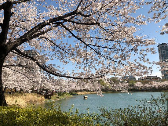 ソンパナル公園